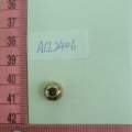 ACI2406