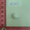 ACI2407