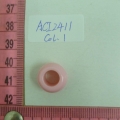 ACI2411