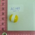 ACI2419