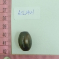 ACI2421