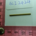 ACI2424