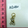 ACI2430