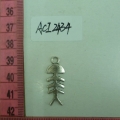 ACI2434