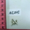 ACI2435