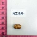 ACI2443