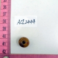 ACI2444