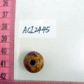 ACI2445