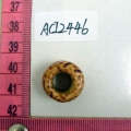 ACI2446