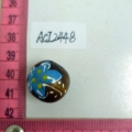 ACI2448