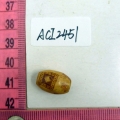 ACI2451
