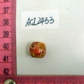 ACI2453