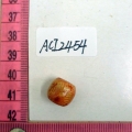 ACI2454