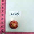 ACI2456