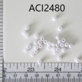 ACI2480