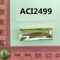 ACI2499