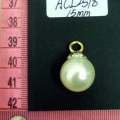 ACI2518