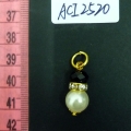 ACI2520