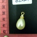ACI2521