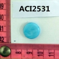 ACI2531