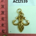 ACI2539