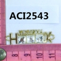 ACI2543