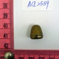 ACI2559