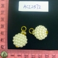 ACI2572
