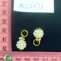 ACI2573