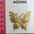 ACI2591