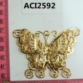 ACI2592