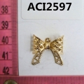 ACI2597