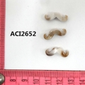 ACI2652