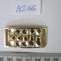 ACI2665