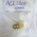 ACI2800