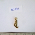 ACI2815