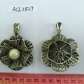 ACI2829