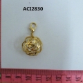 ACI2830