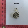 ACI2832