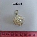 ACI2833