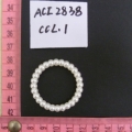 ACI2838
