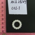 ACI2839