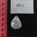 ACI2855
