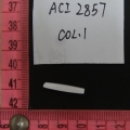ACI2857