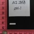 ACI2858