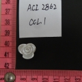 ACI2862