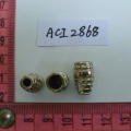 ACI2868