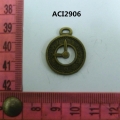 ACI2906