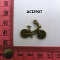 ACI2907