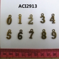 ACI2913